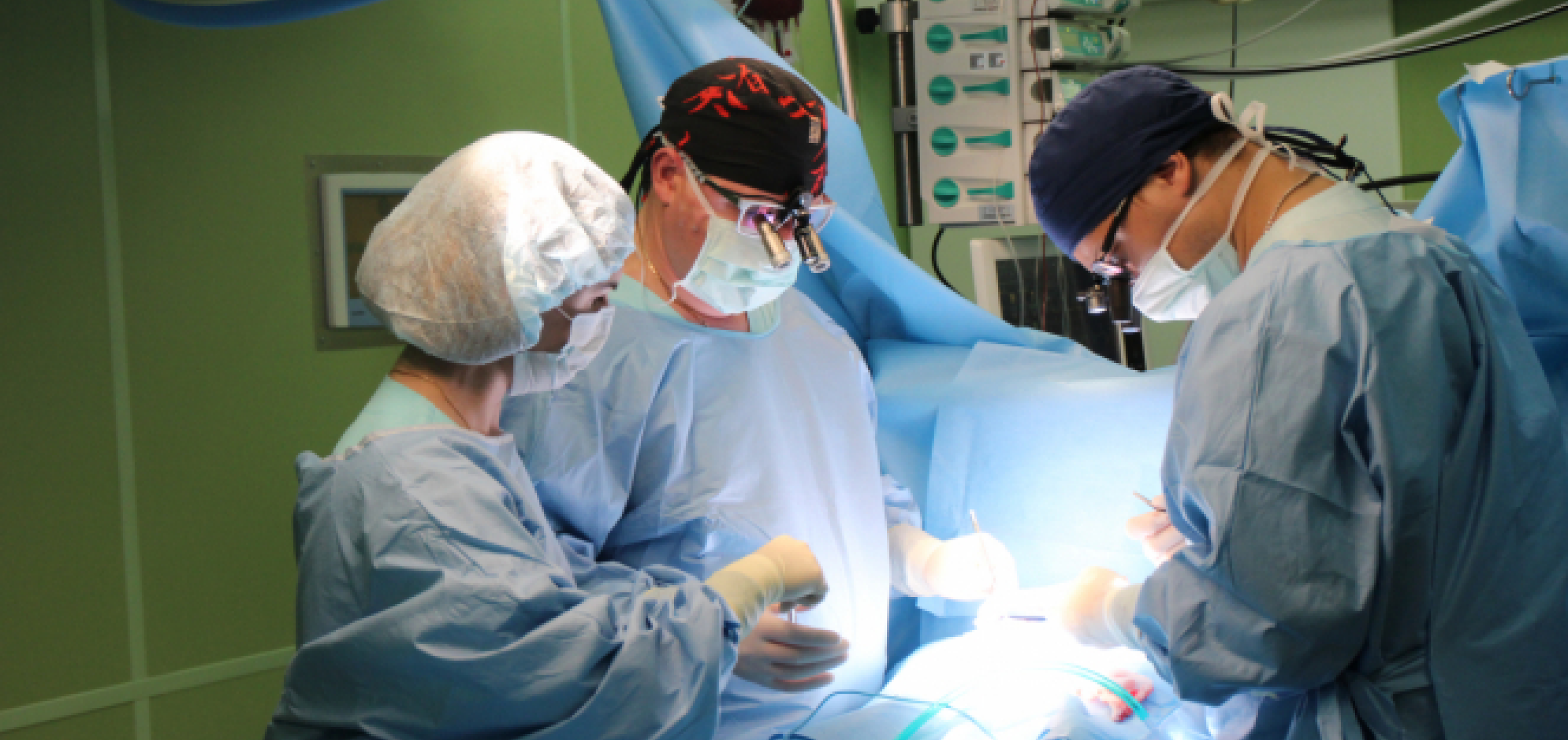 Спасли новорожденного из&nbsp;Всеволожска