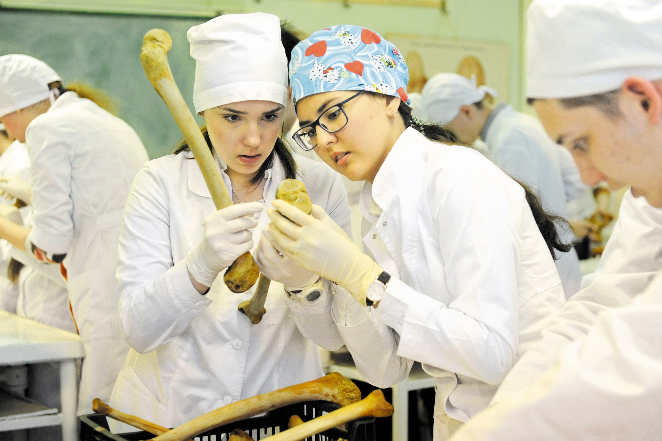 Открытый университет