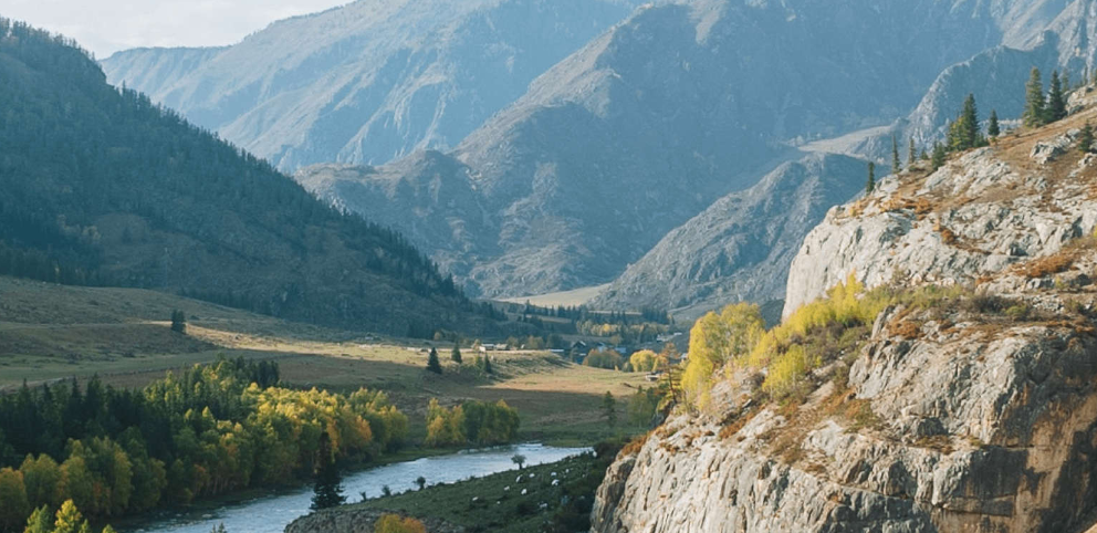 Экодиктант