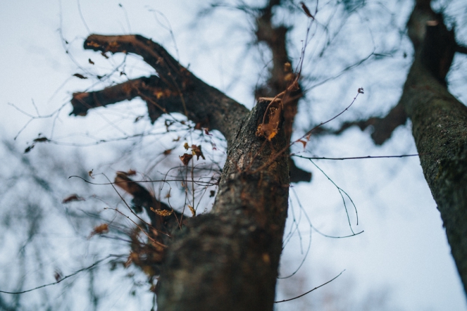 Вирусологическая лаборатория 