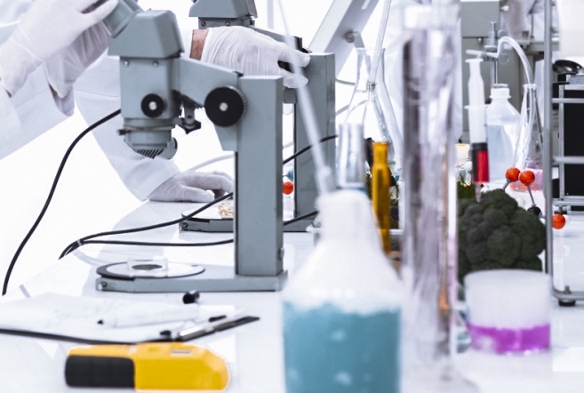 <span style="color: rgb(31, 31, 31);">Научные работники</span>