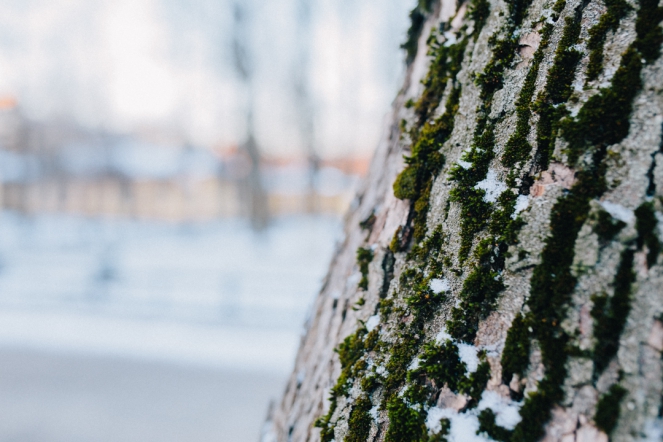 Бактериологическая лаборатория