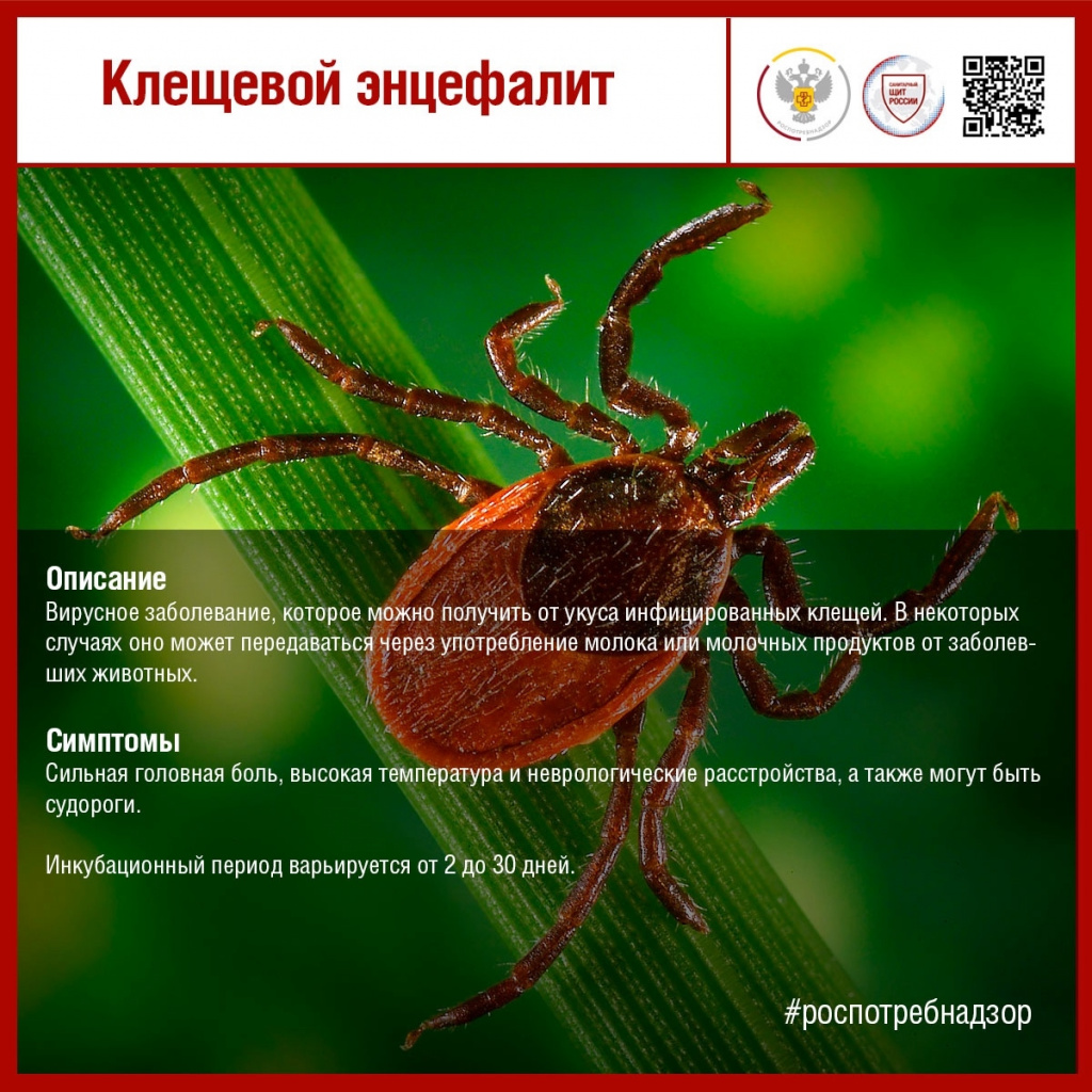 #санпросвет#