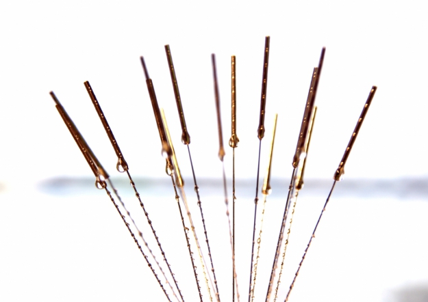 <span style="color: rgb(31, 31, 31);">Рефлексотерапевты</span>