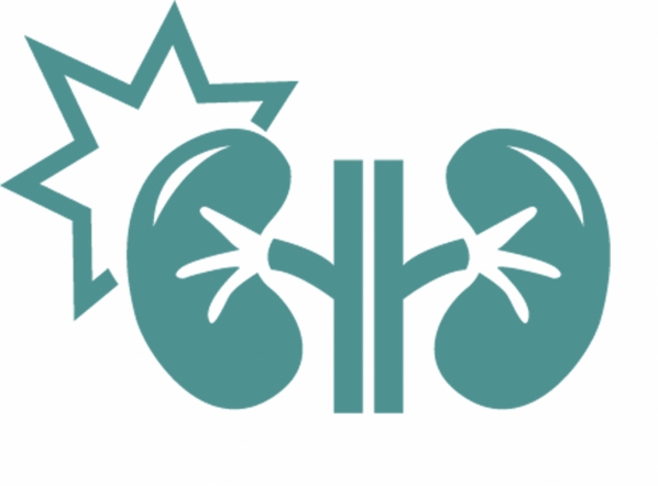 <span style="color: rgb(31, 31, 31);">Нефрологи</span>