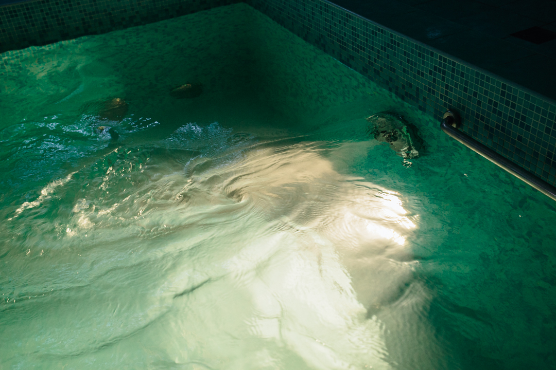 Изображение не загрузилось