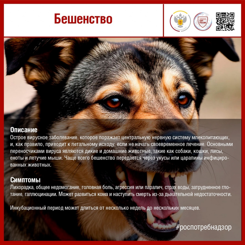 #санпросвет#