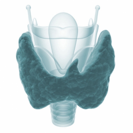 <span style="color: rgb(31, 31, 31);">Эндокринологи</span>