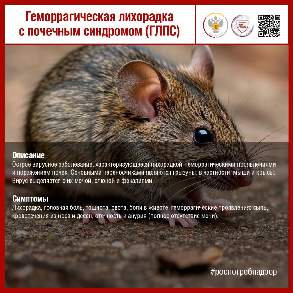 #санпросвет#