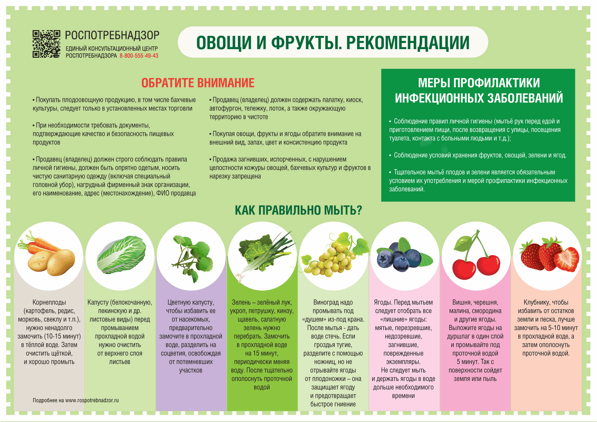 #санпросвет#