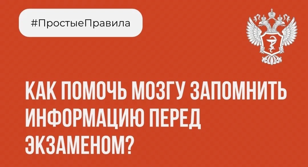 В Минздраве рассказали, как помочь мозгу запомнить информацию перед экзаменом