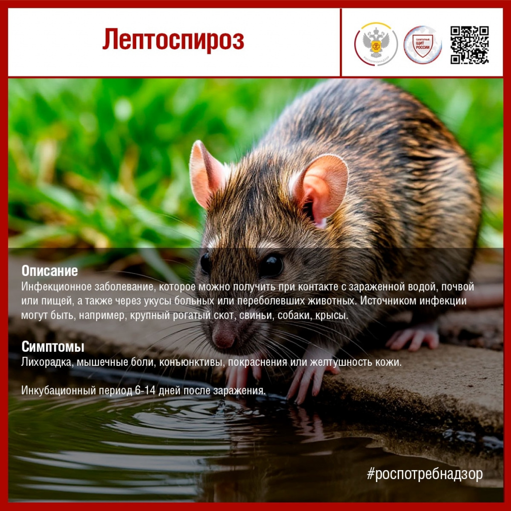 #санпросвет#