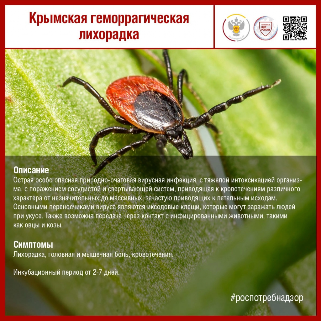 #санпросвет#