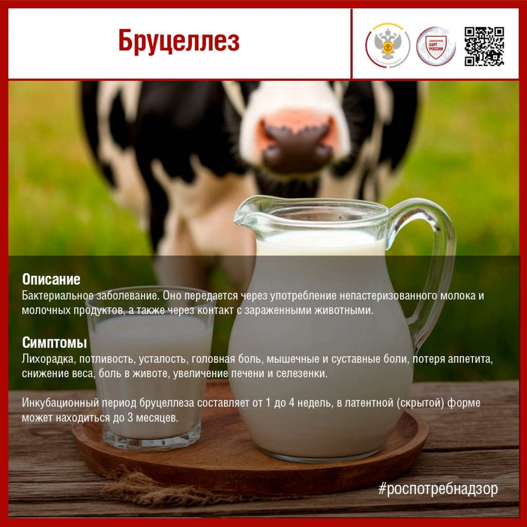 #санпросвет#