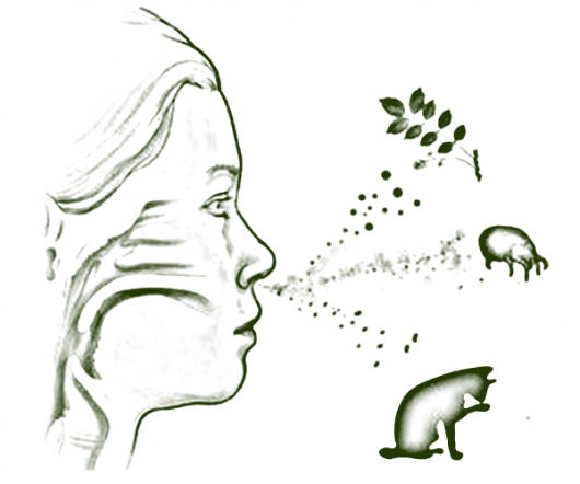 <span style="color: rgb(31, 31, 31);">Аллергологи-иммунологи</span>