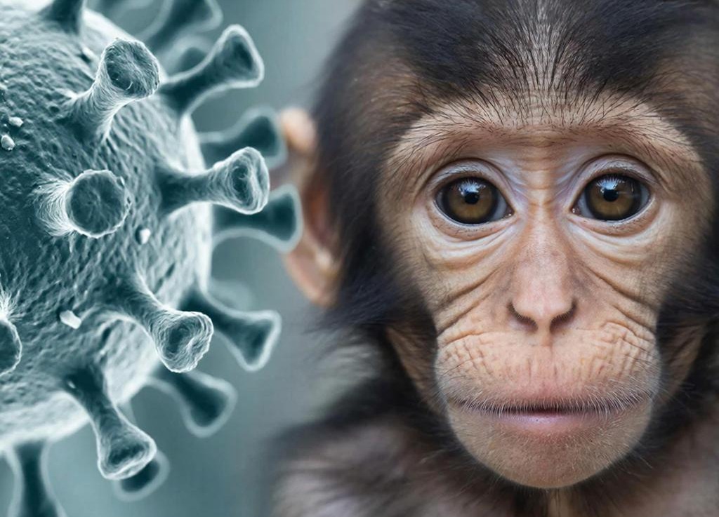 Специалисты Института инфекционных болезней, клинической микробиологии и медицинской паразитологии Педиатрического университета обсудили вопросы профилактики оспы